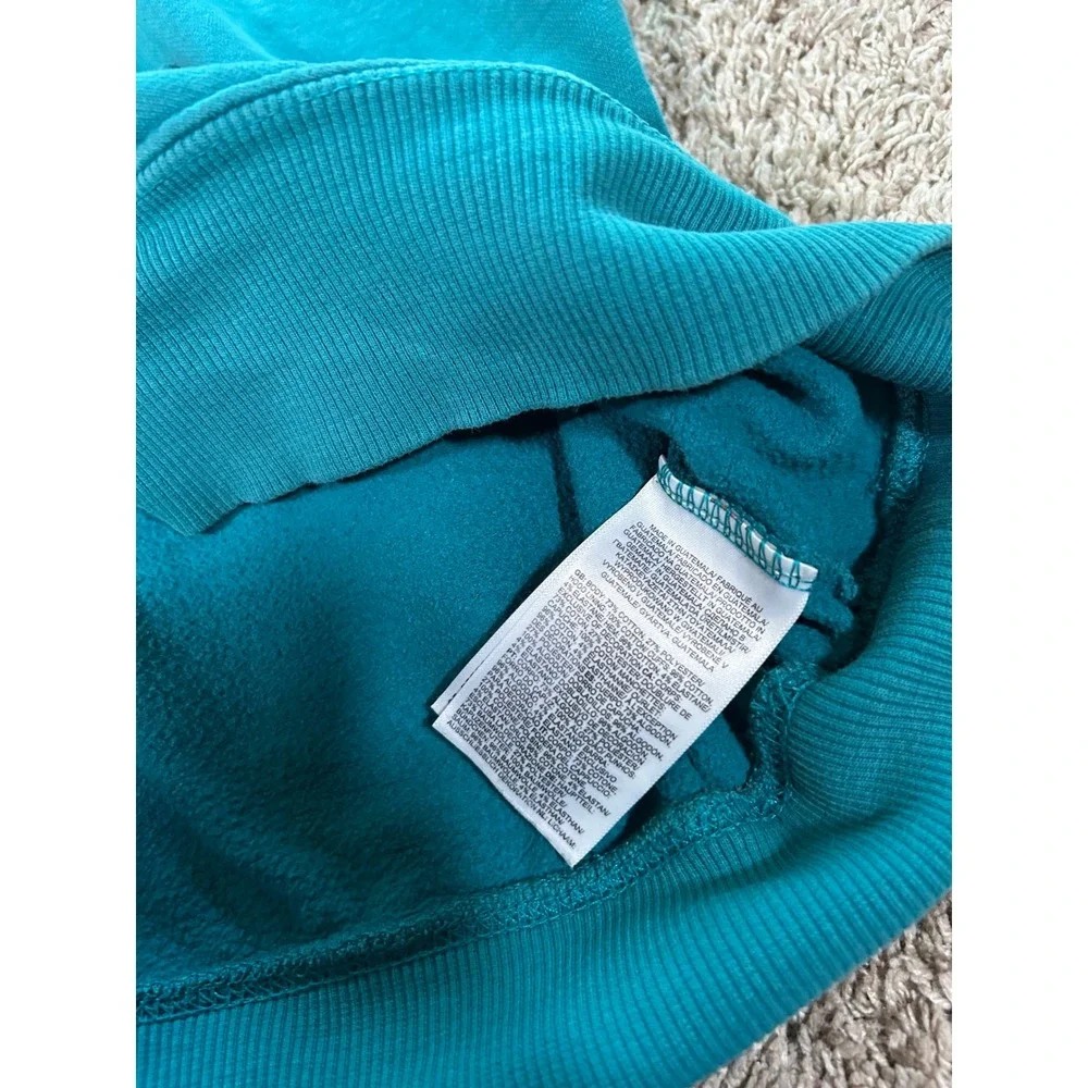 The North Face Mens Pullover Hoodie Teal Hiking Outdoors Sweatshirt Gorpcore M